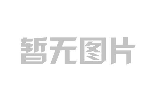 卡萊特S20/S20F